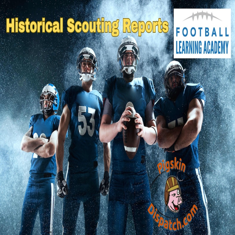 Artwork for podcast Pigskin Dispatch