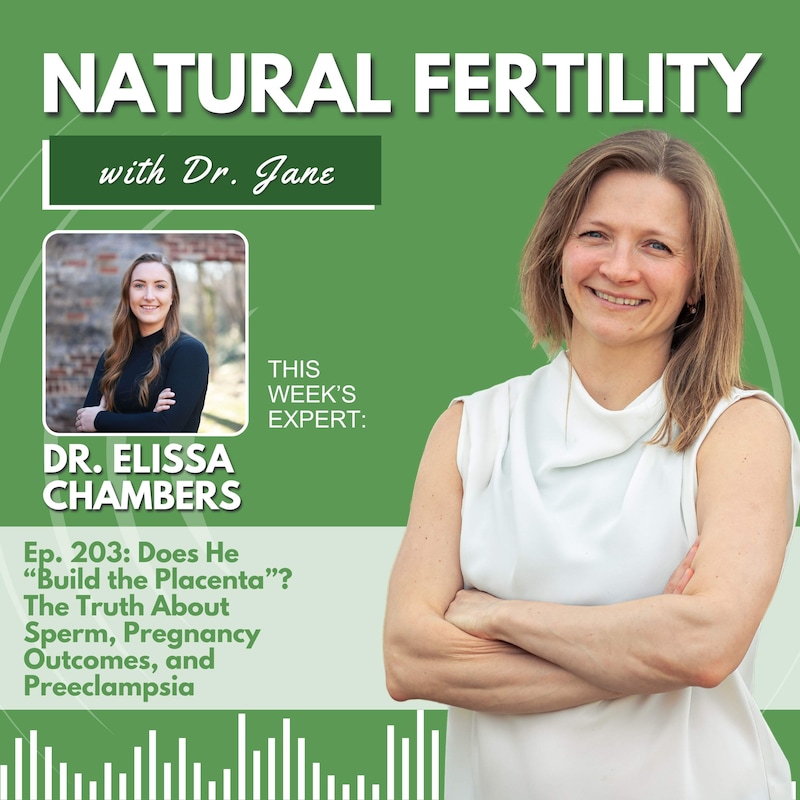 Artwork for podcast Natural Fertility with Dr. Jane