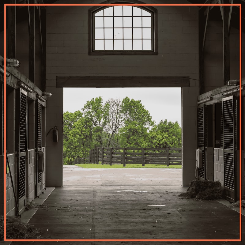 Artwork for podcast Broke Horse Moms