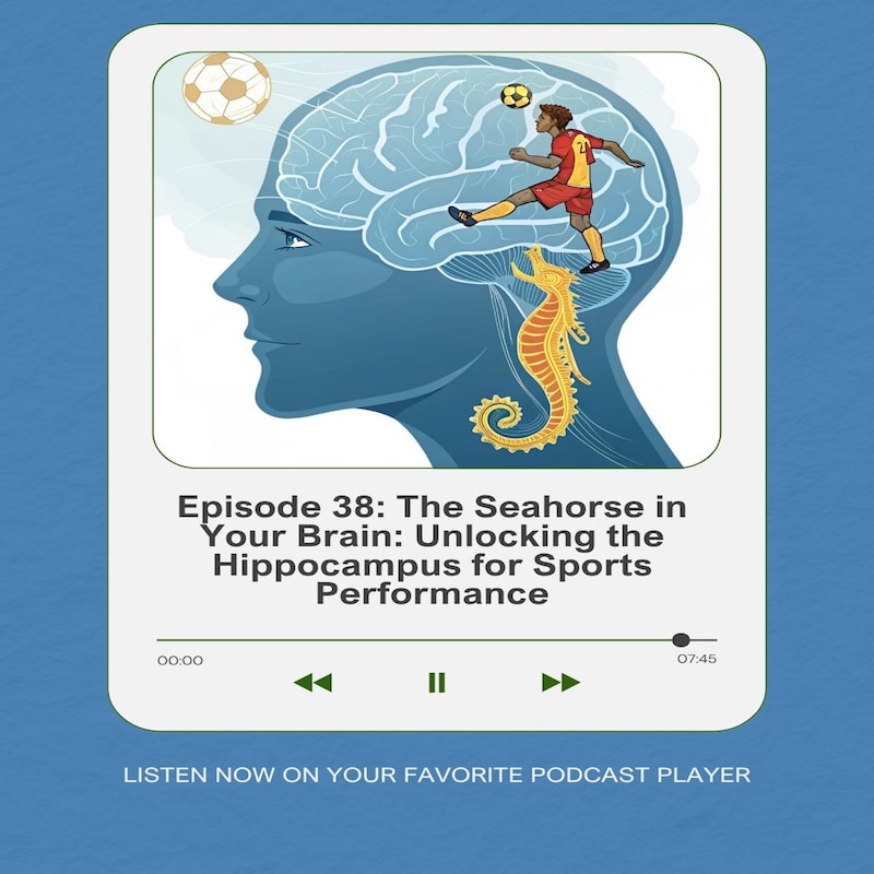 Artwork for podcast Sports Vision Radio