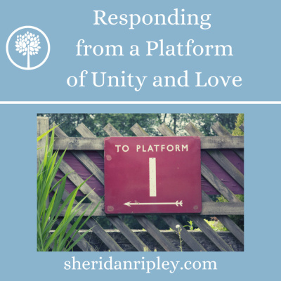 Finding Joy in the Journey