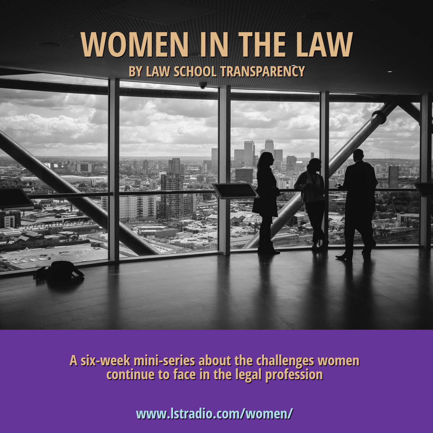 Artwork for Women In The Law