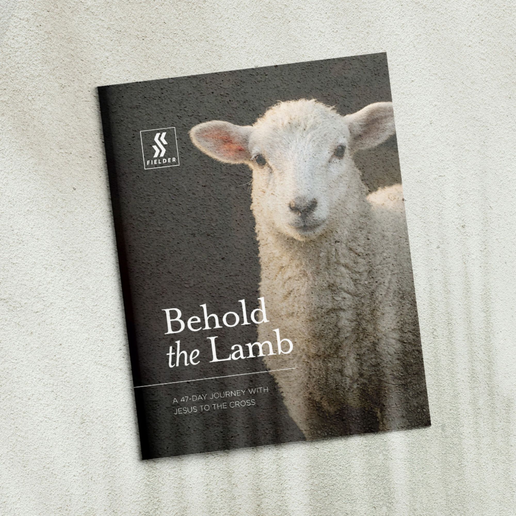 Behold the Lamb cover art