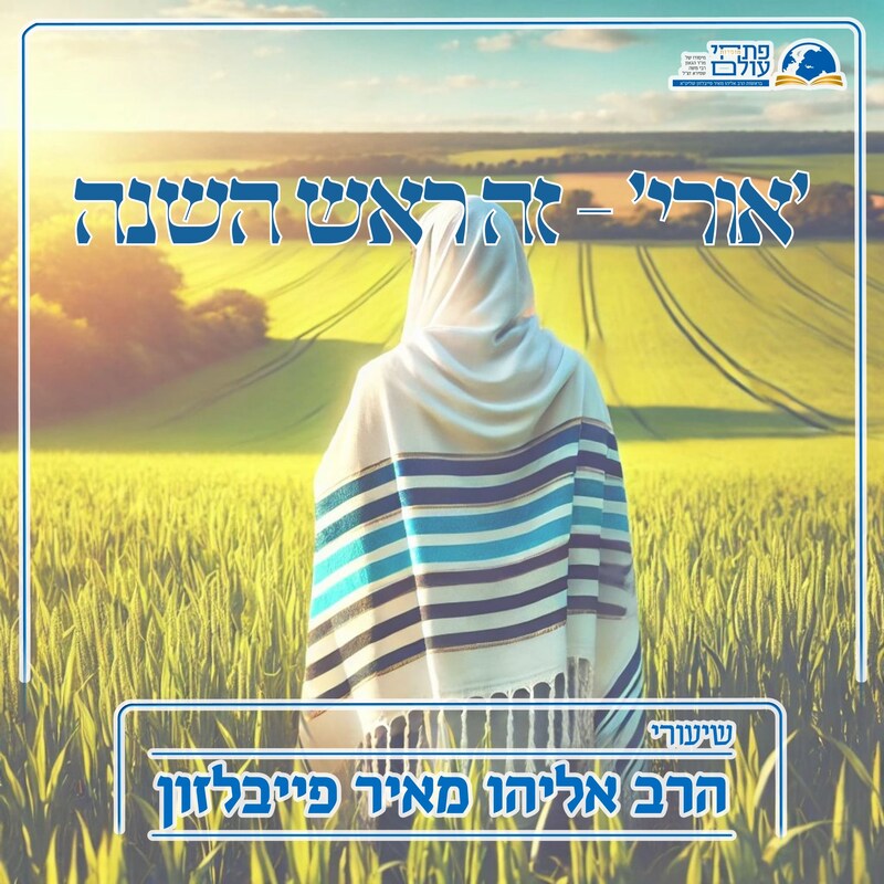 Artwork for podcast שיעורי הרב פייבלזון