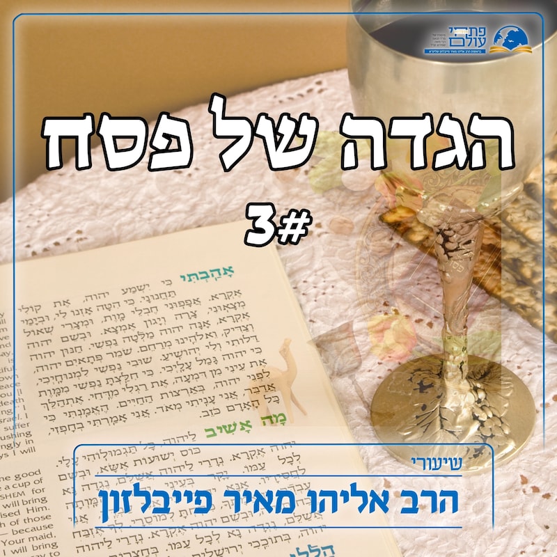 Artwork for podcast שיעורי הרב פייבלזון