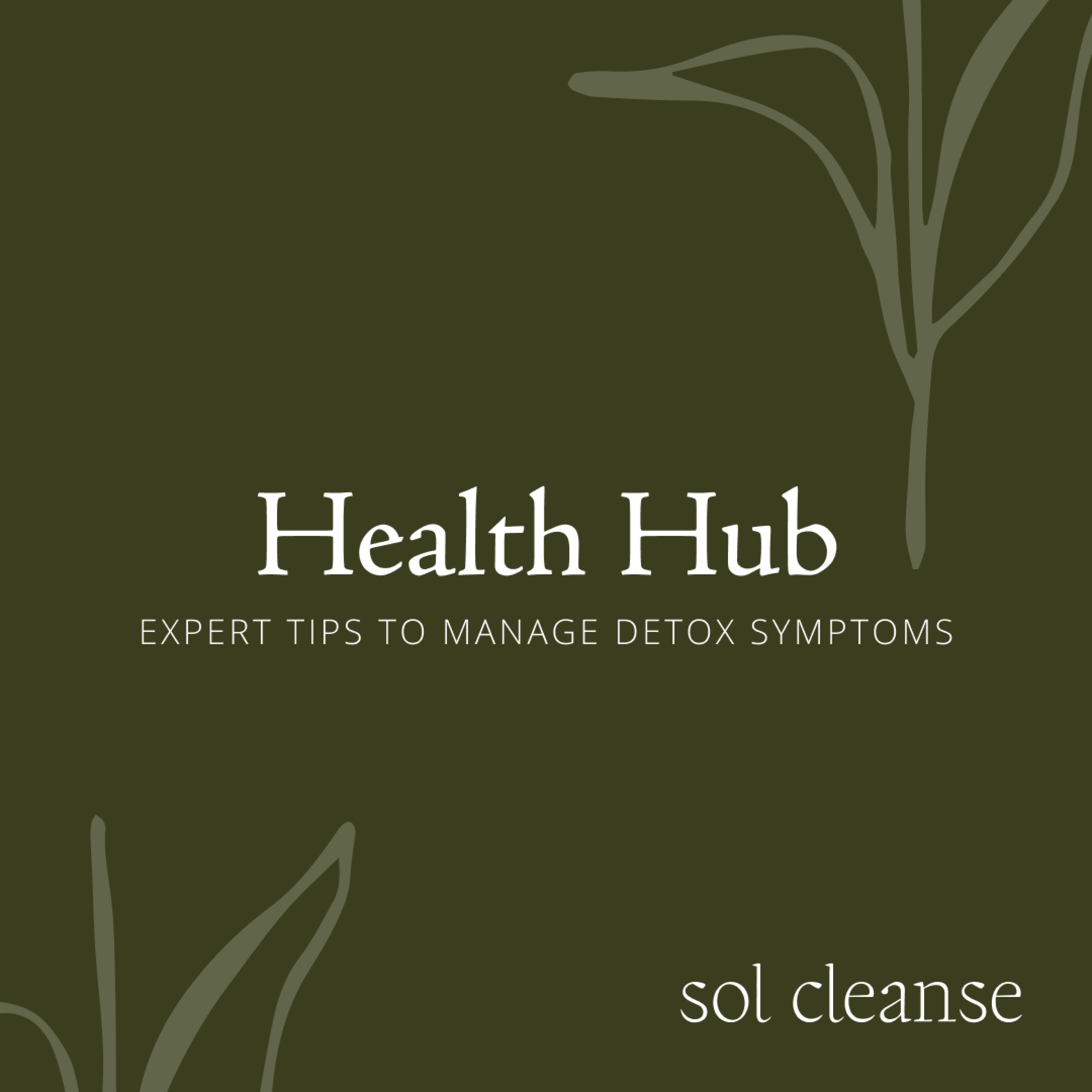 Health Hub: Expert Tips to Manage Detox Symptoms