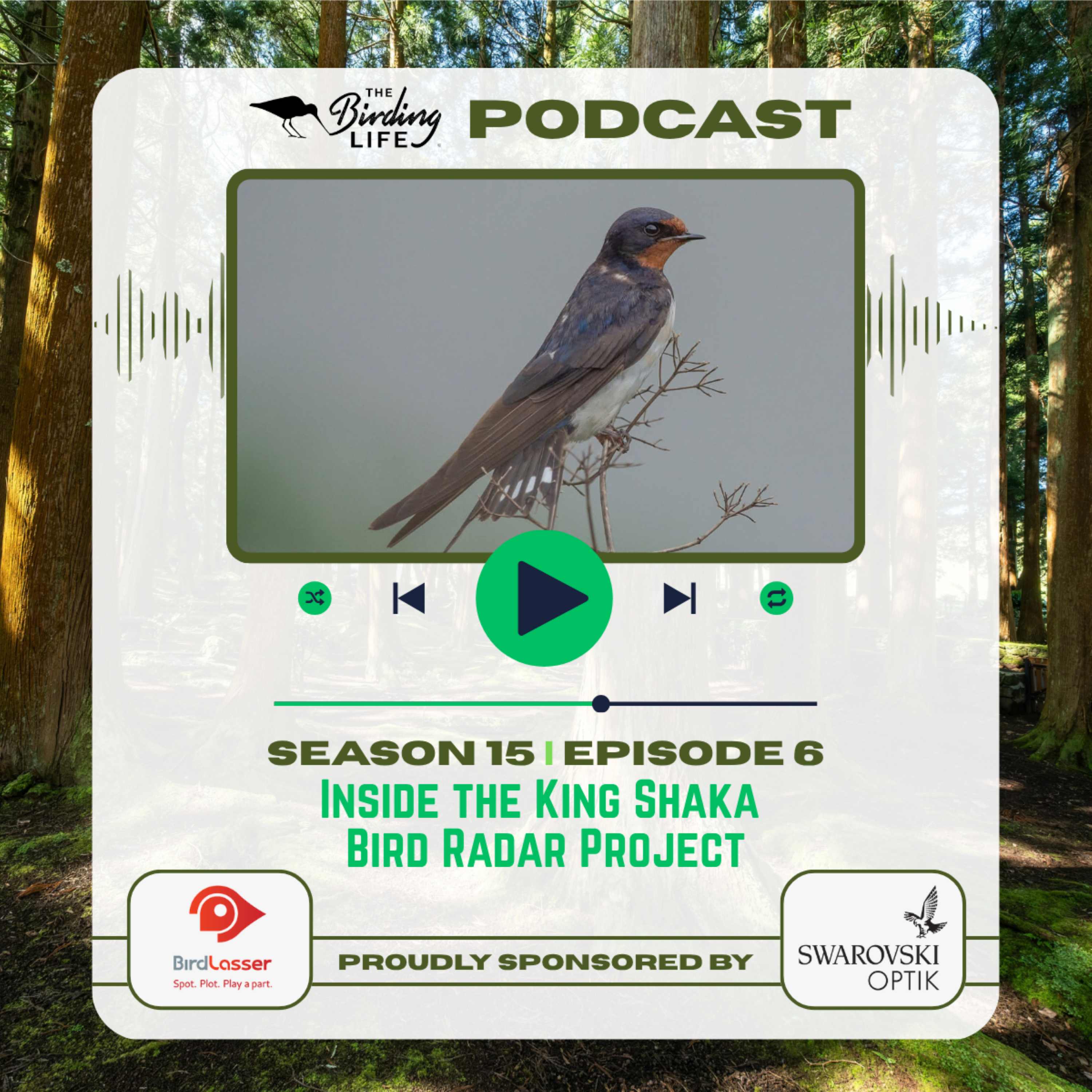TBL Podcast - Season 15 Episode 6 - Inside the King Shaka Bird Radar Project episode artwork