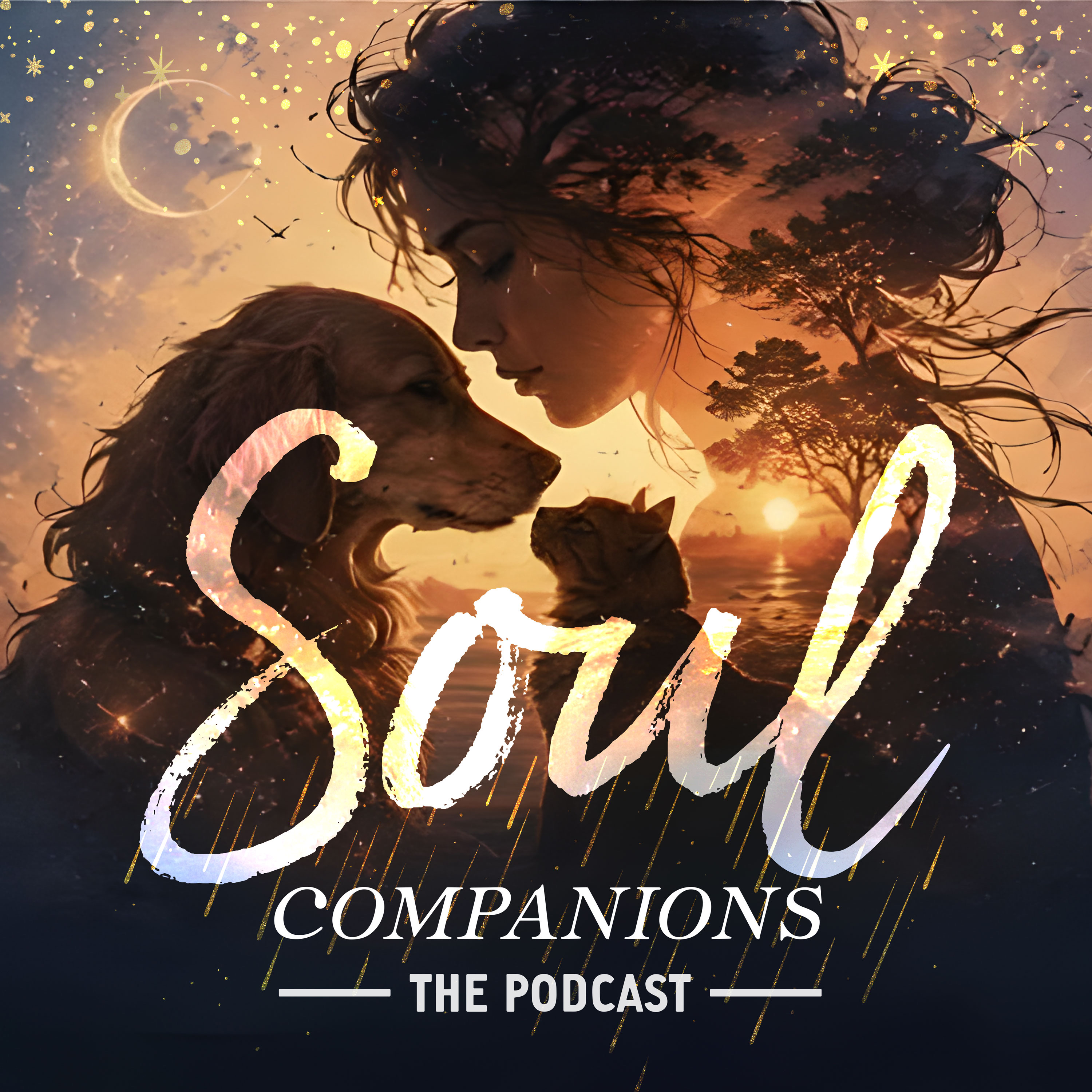 Soul Companions