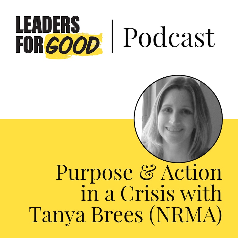 Artwork for podcast Inclusion at Work