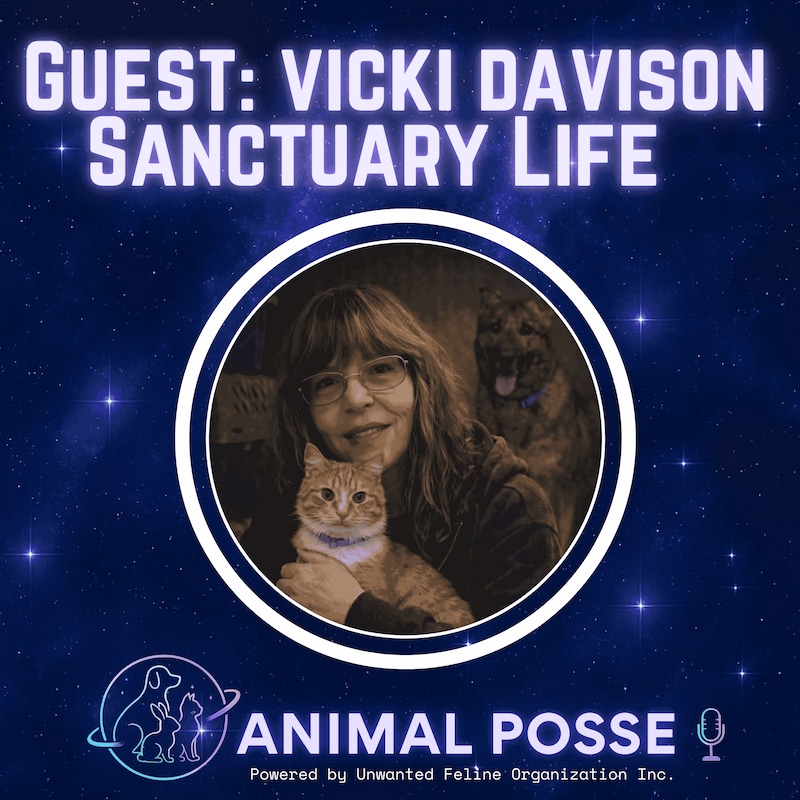Artwork for podcast Animal Posse