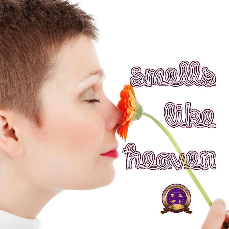 Artwork for podcast Deadly Departed