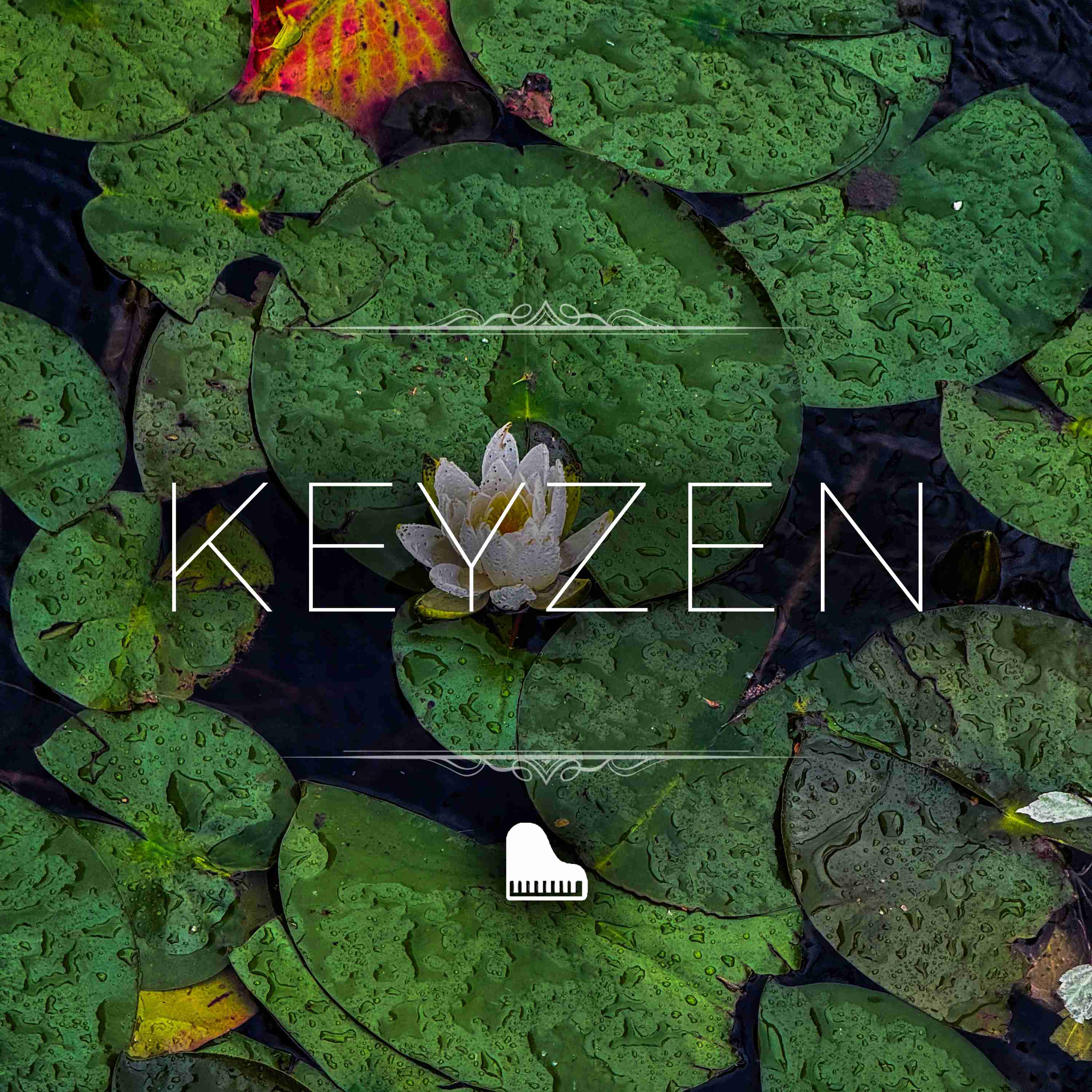 Keyzen Piano for Stress Relief with Gray Treefrogs - 2 Hours - "For Nights on End" episode artwork