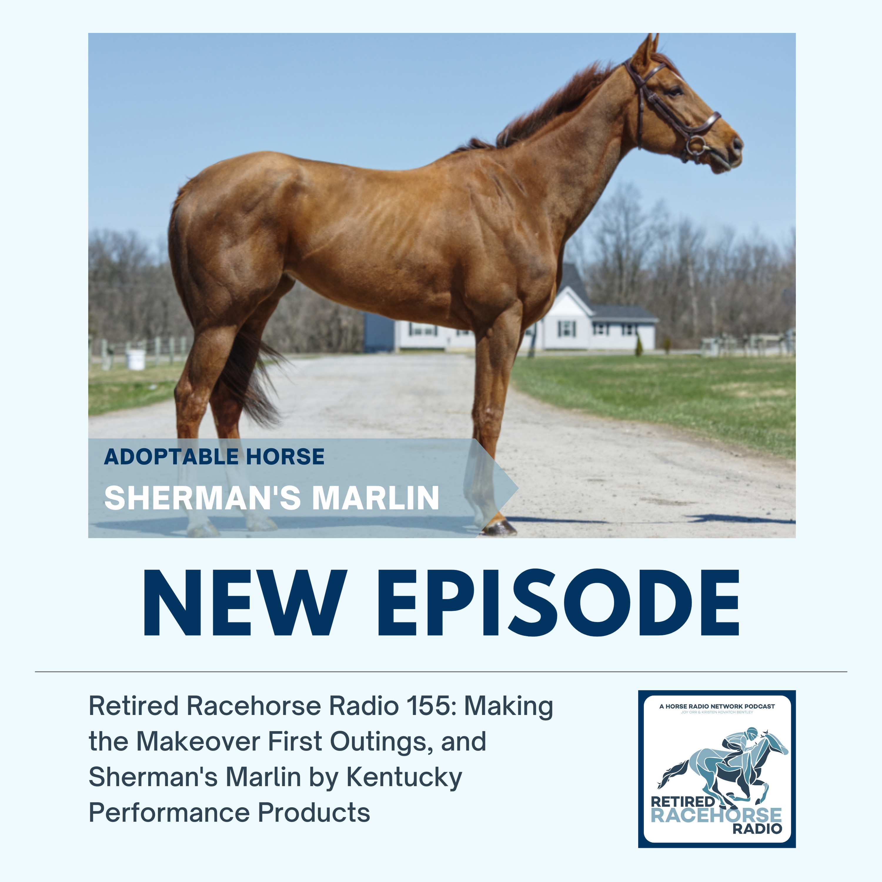 Making the Makeover First Outings, and Sherman's Marlin by Kentucky Performance Products - Retired Racehorse Radio