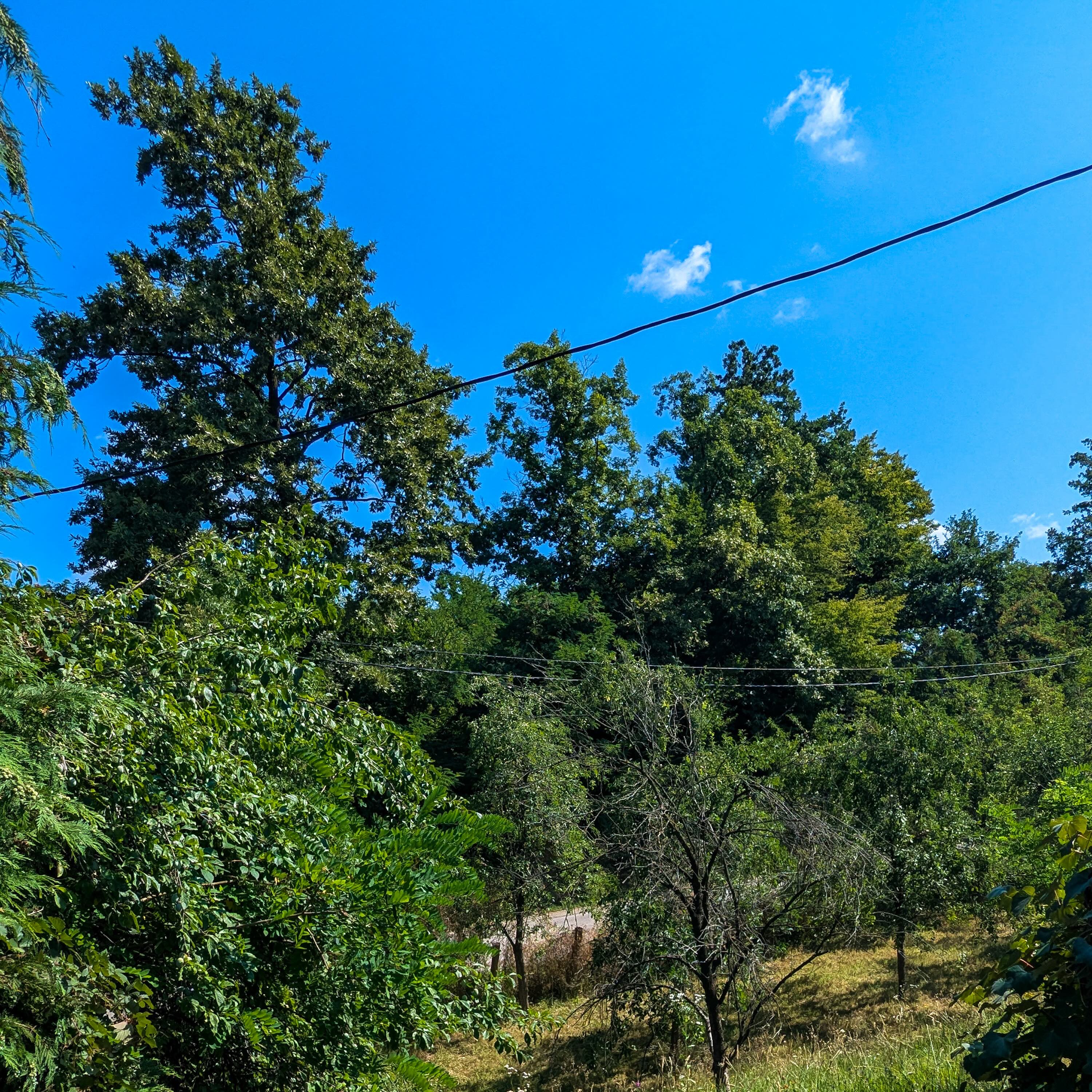 A Summer Afternoon in our Village | Rural Bosnia Soundscape episode artwork