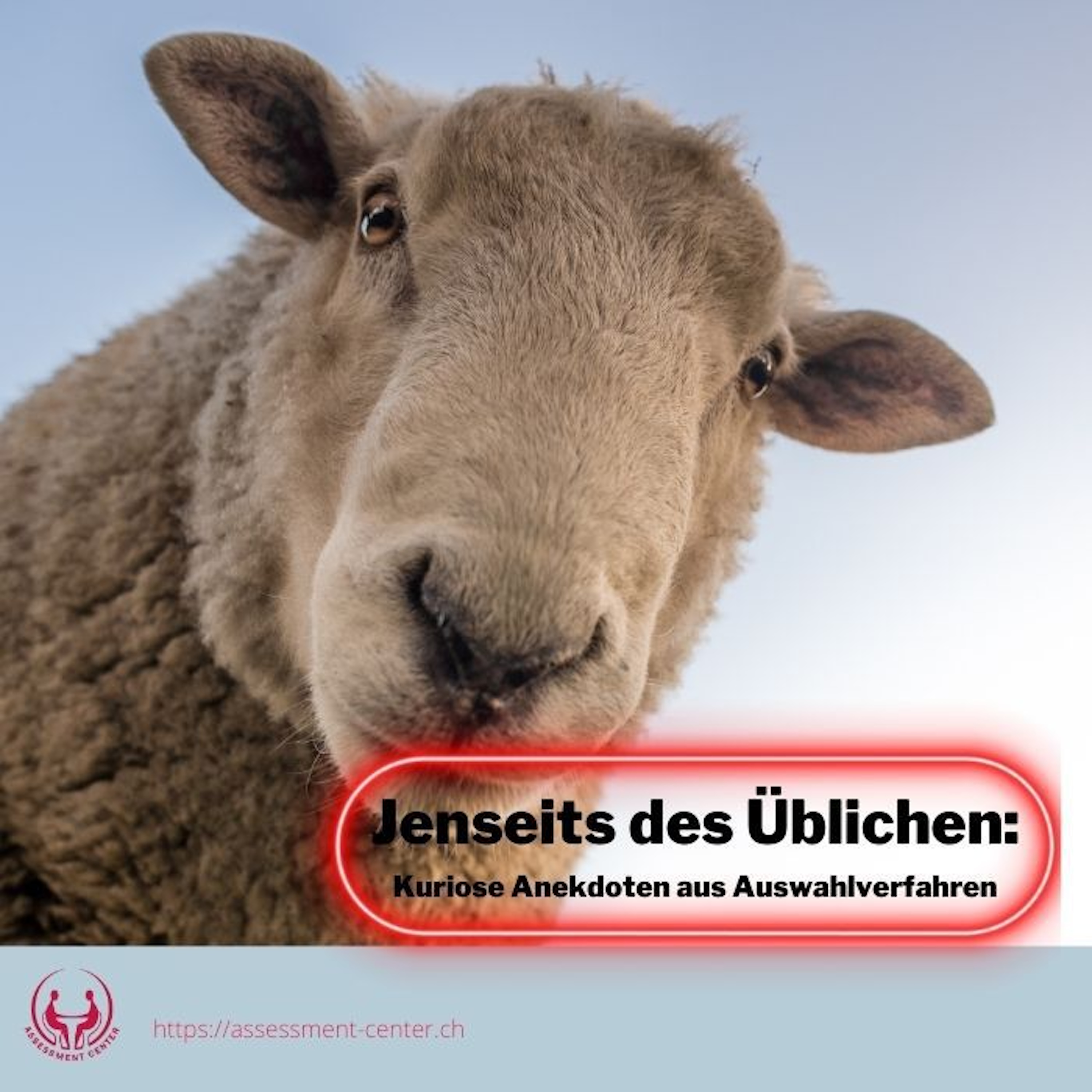 Erfolgreich im Assessment-Center I Führungskräfte I Management
