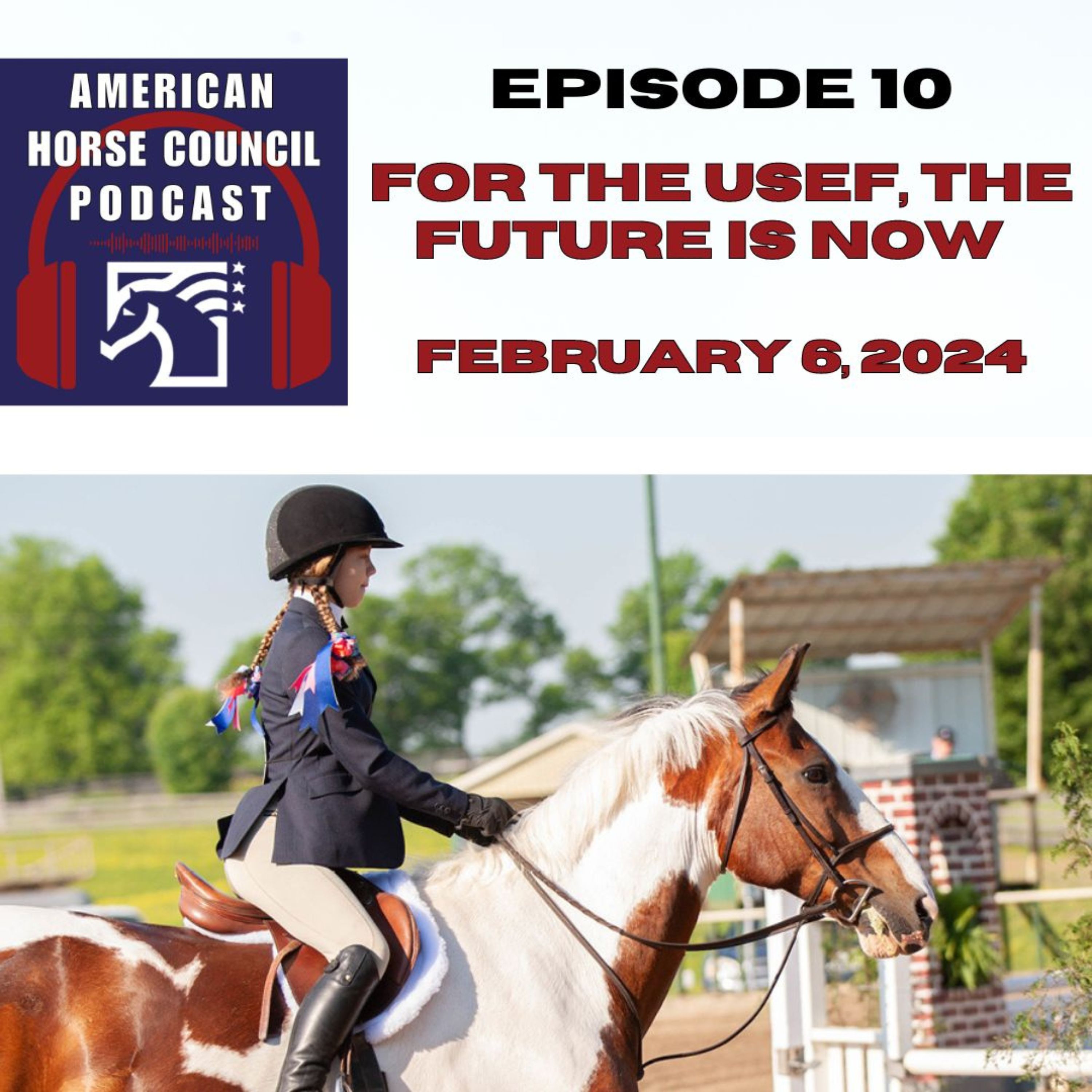 HRN Auditor Podcast