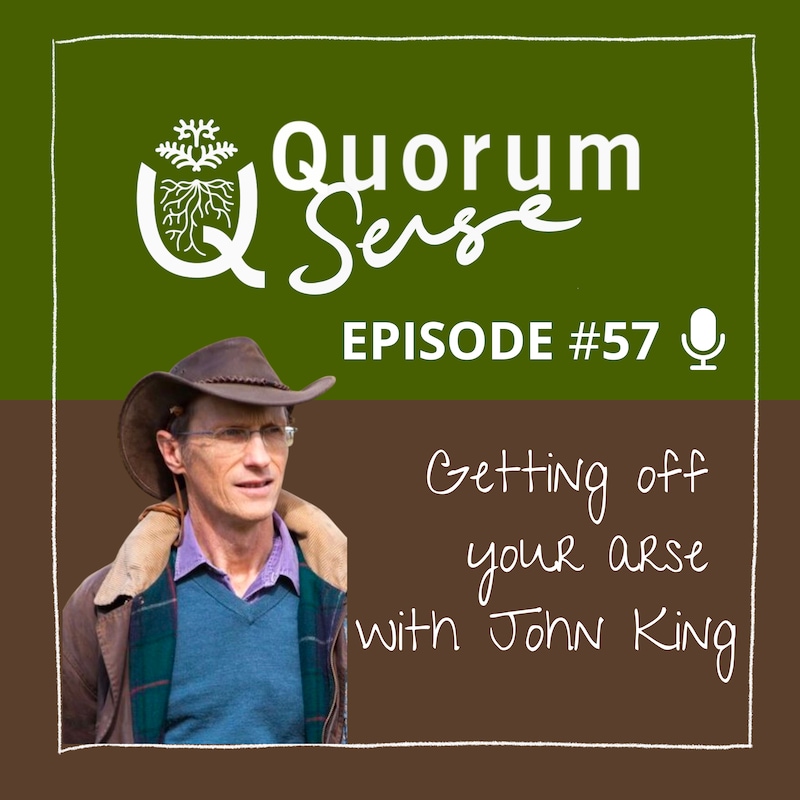 Artwork for podcast The Quorum Sense Podcast