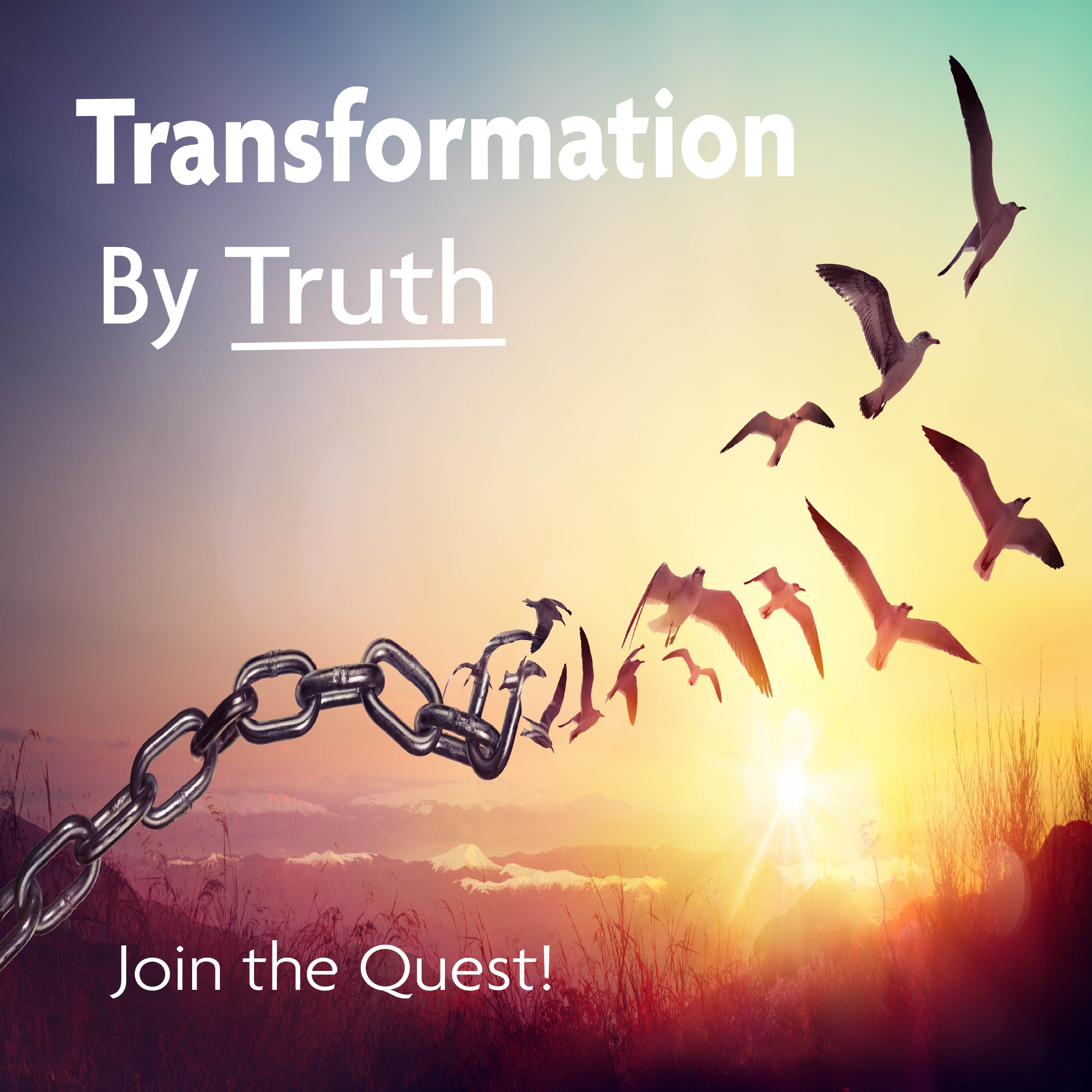 Artwork for podcast Transformation By Truth