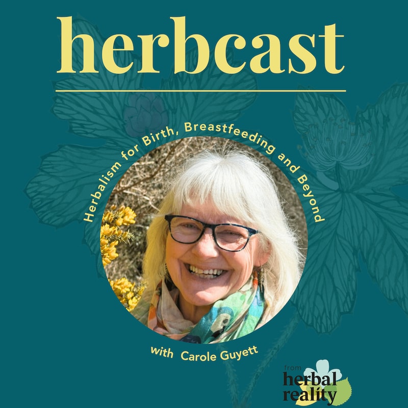 Artwork for podcast Herbcast