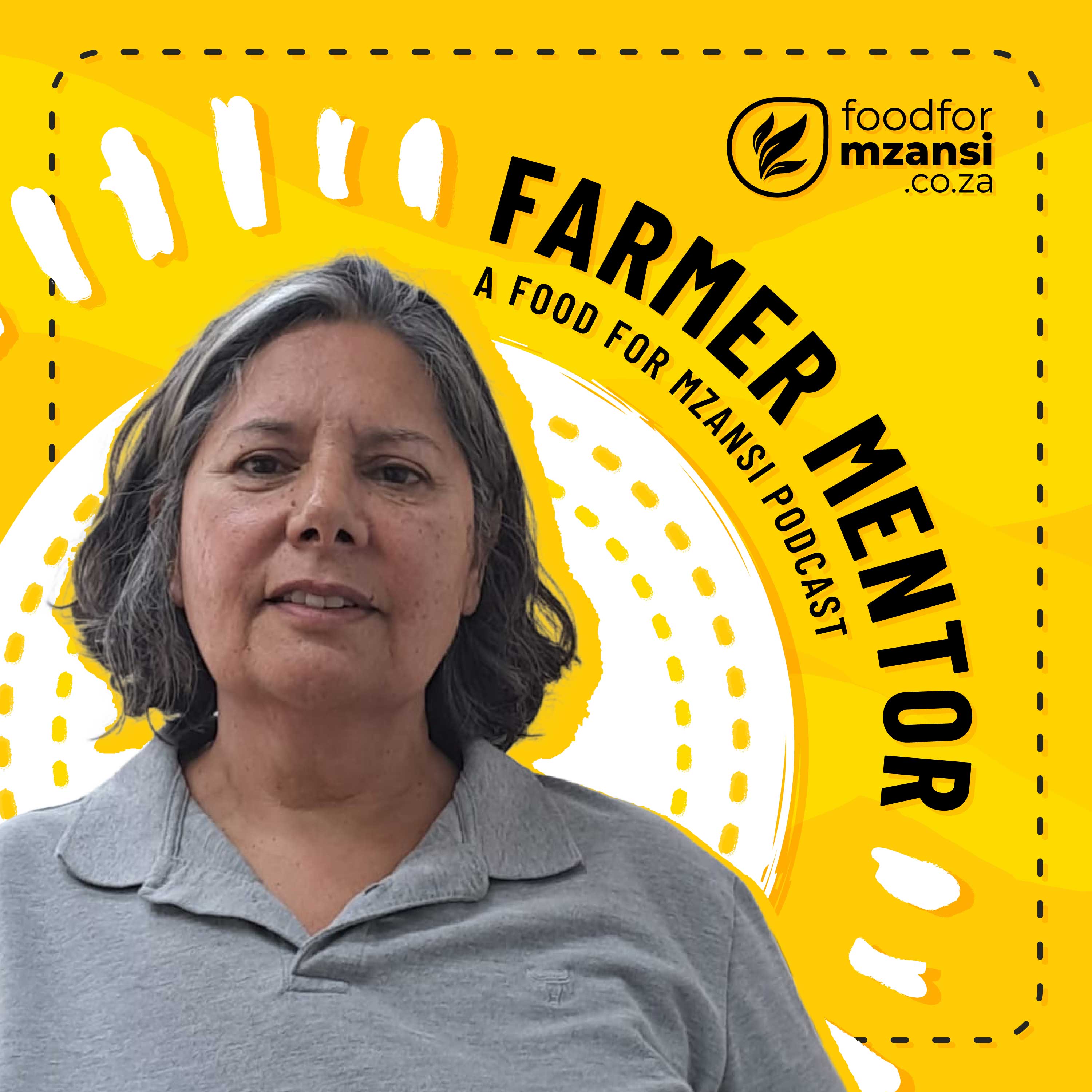 Establishing a commercial pomegranate orchard