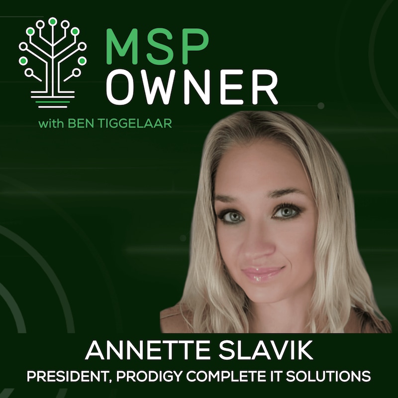 Artwork for podcast MSP Owner