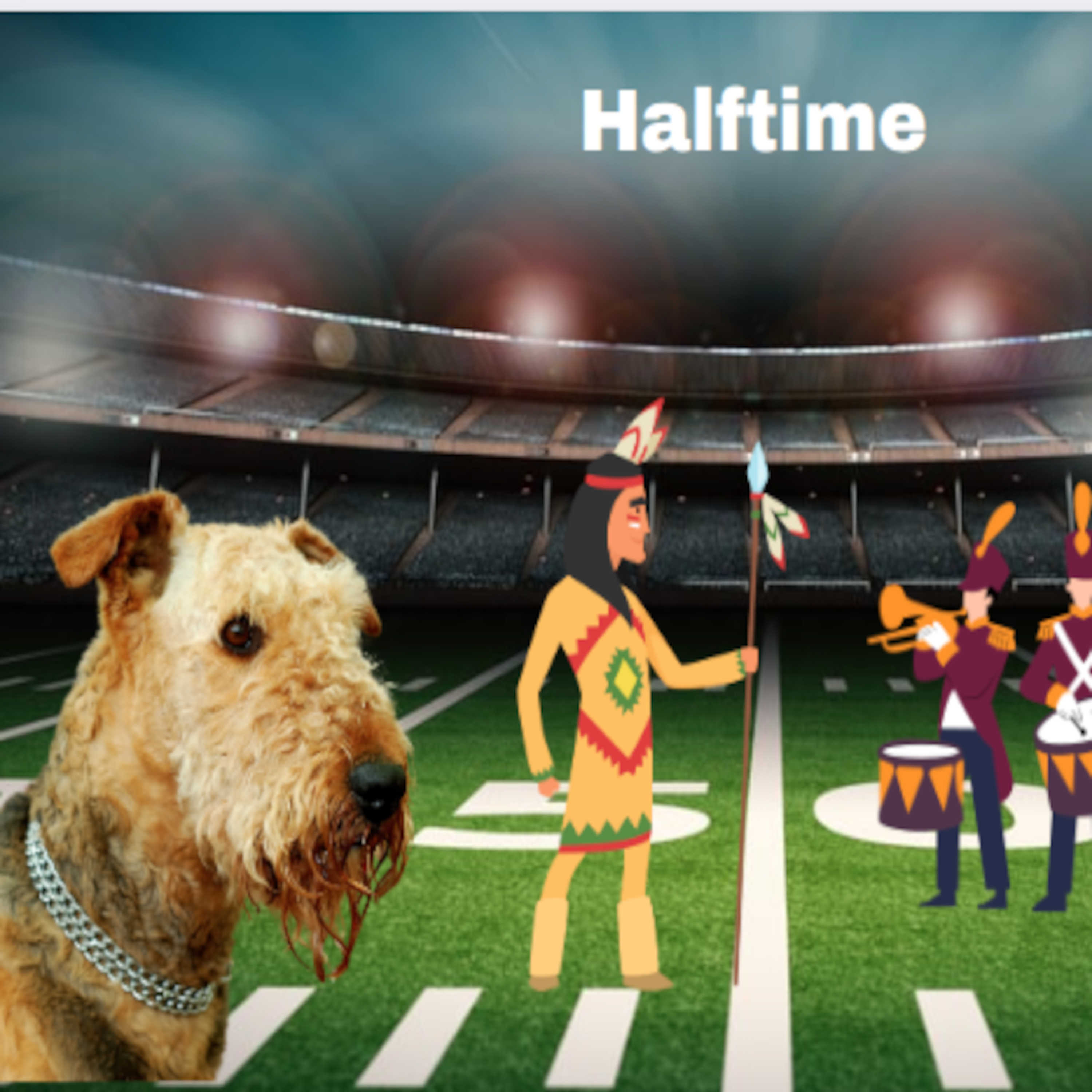 An Exploration of Halftime Entertainment in Football History