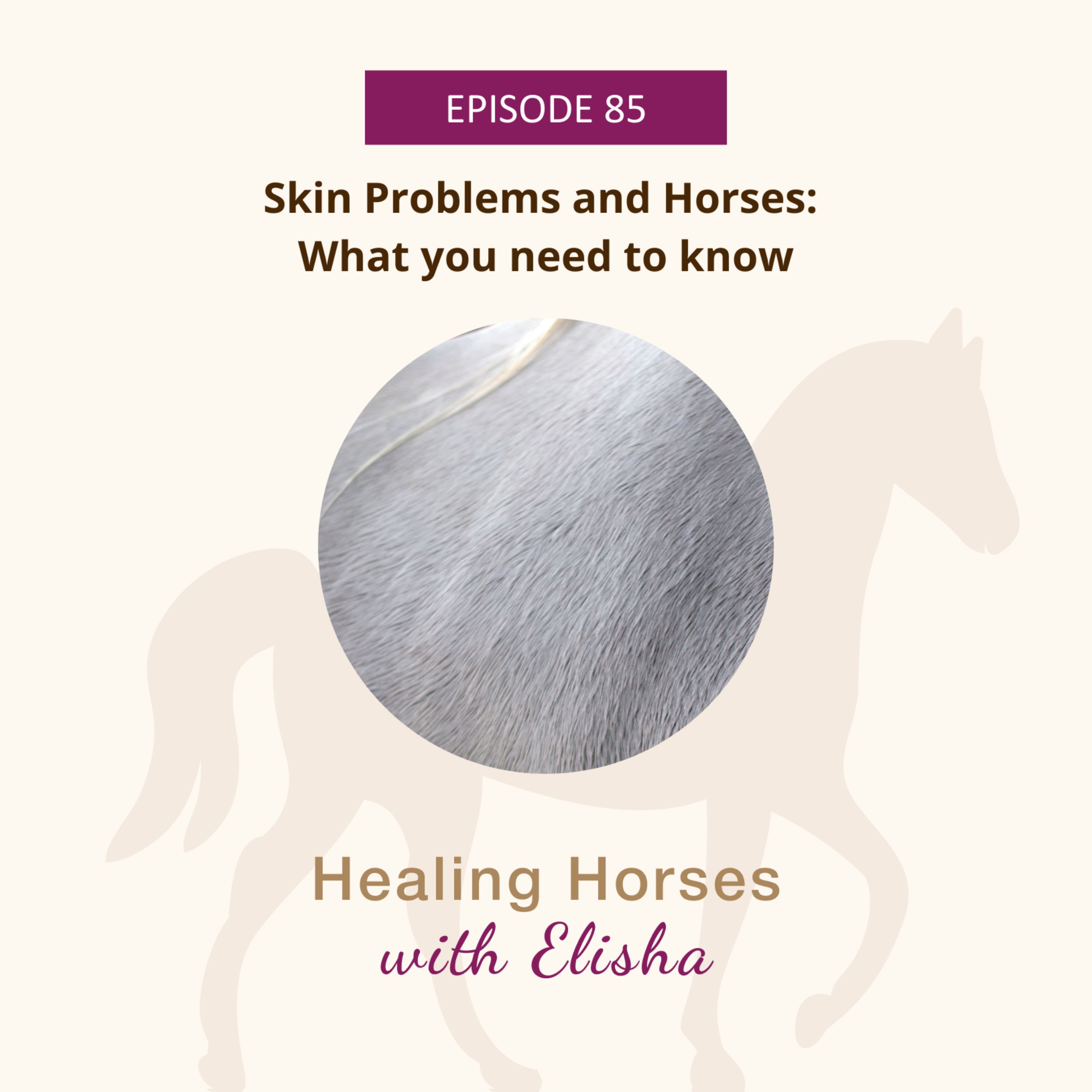 85: Skin Problems and Horses: What You Need to Know