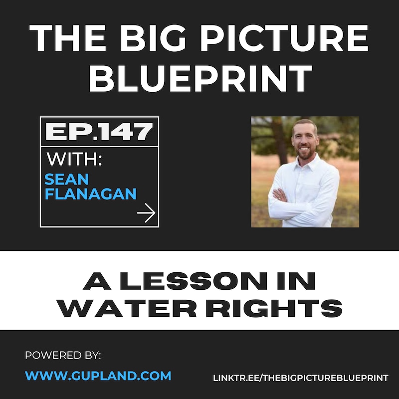 Artwork for podcast The Big Picture Blueprint: Navigating Land, Real Estate, and Business Success