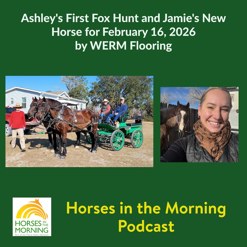 Artwork for podcast Horses in the Morning