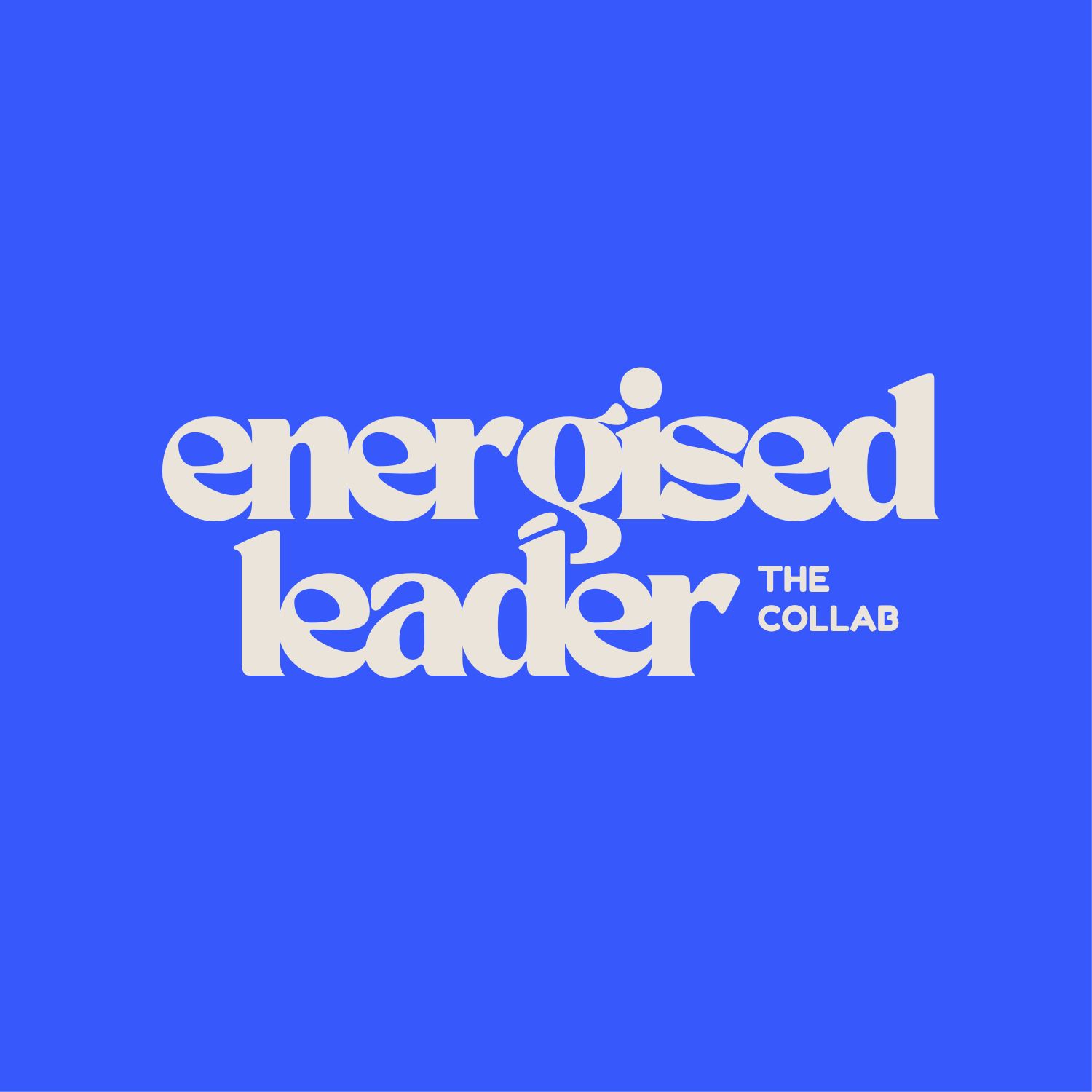 Energised Leader cover art