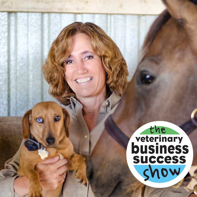 Artwork for podcast The Veterinary Leadership Success Show