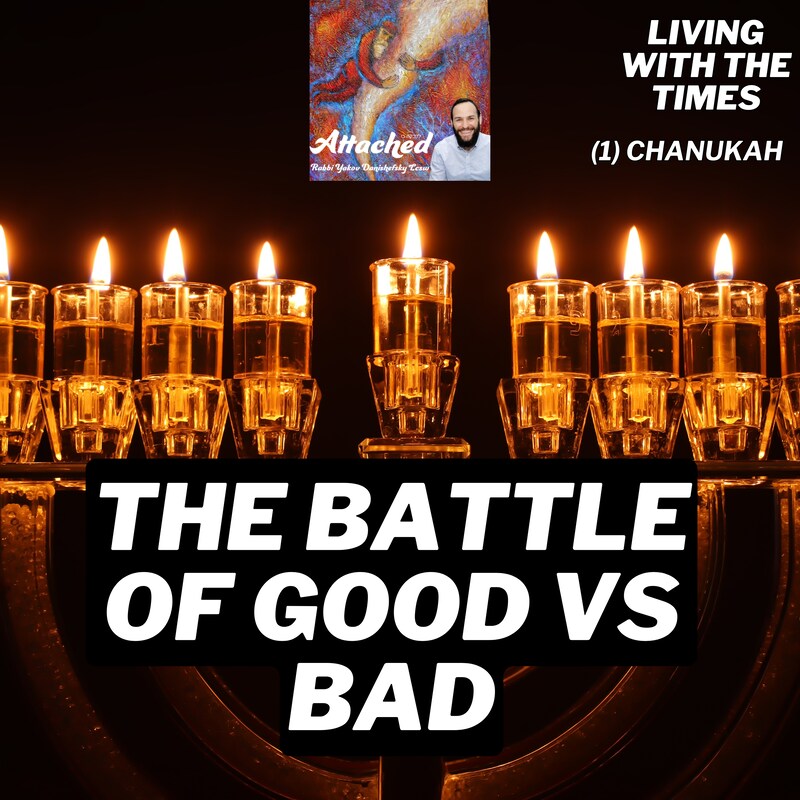 Artwork for podcast The Attached Life