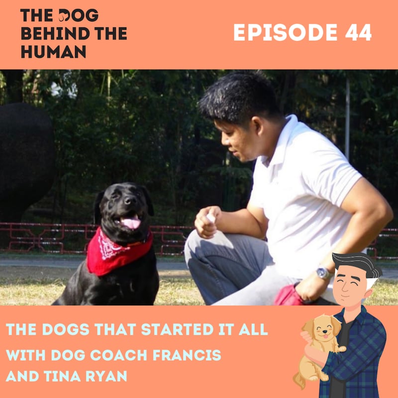 Artwork for podcast The Dog Behind The Human