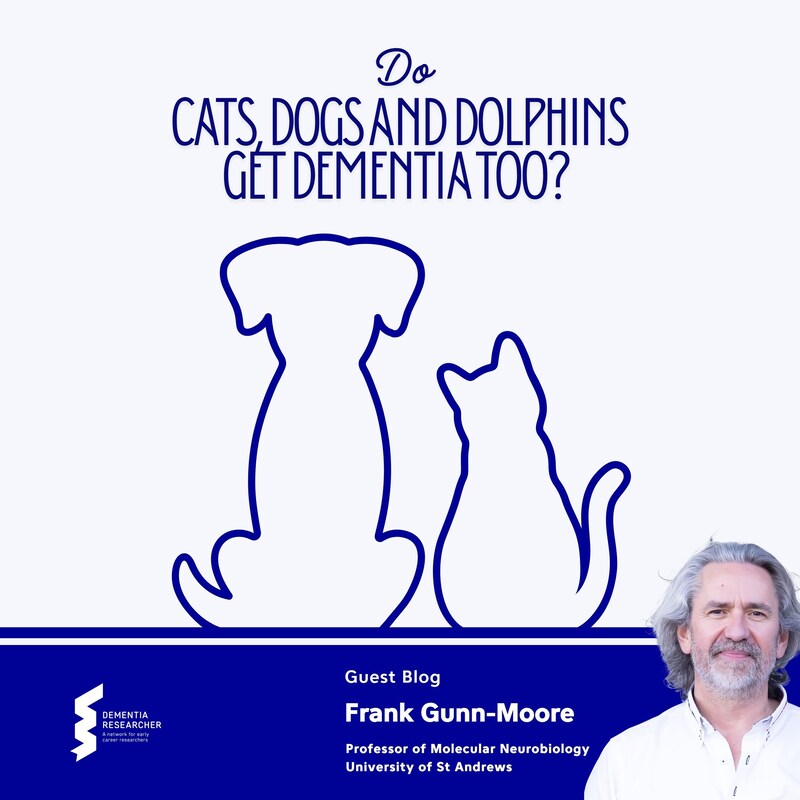 Artwork for podcast Dementia Researcher Blogs