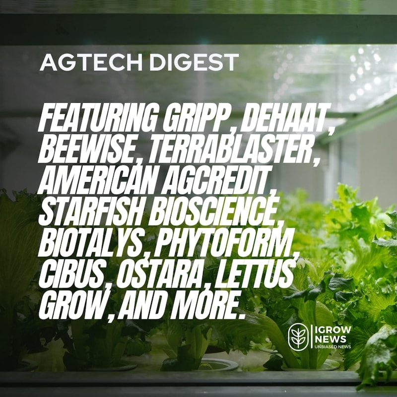 Artwork for podcast AgTech Digest