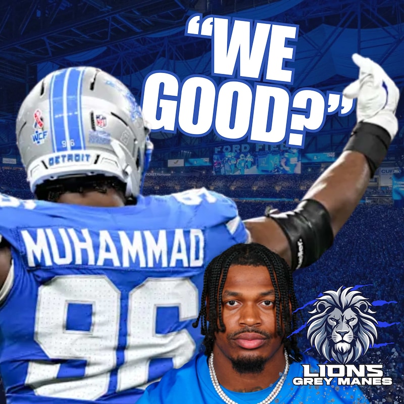Artwork for podcast Lions Grey Manes