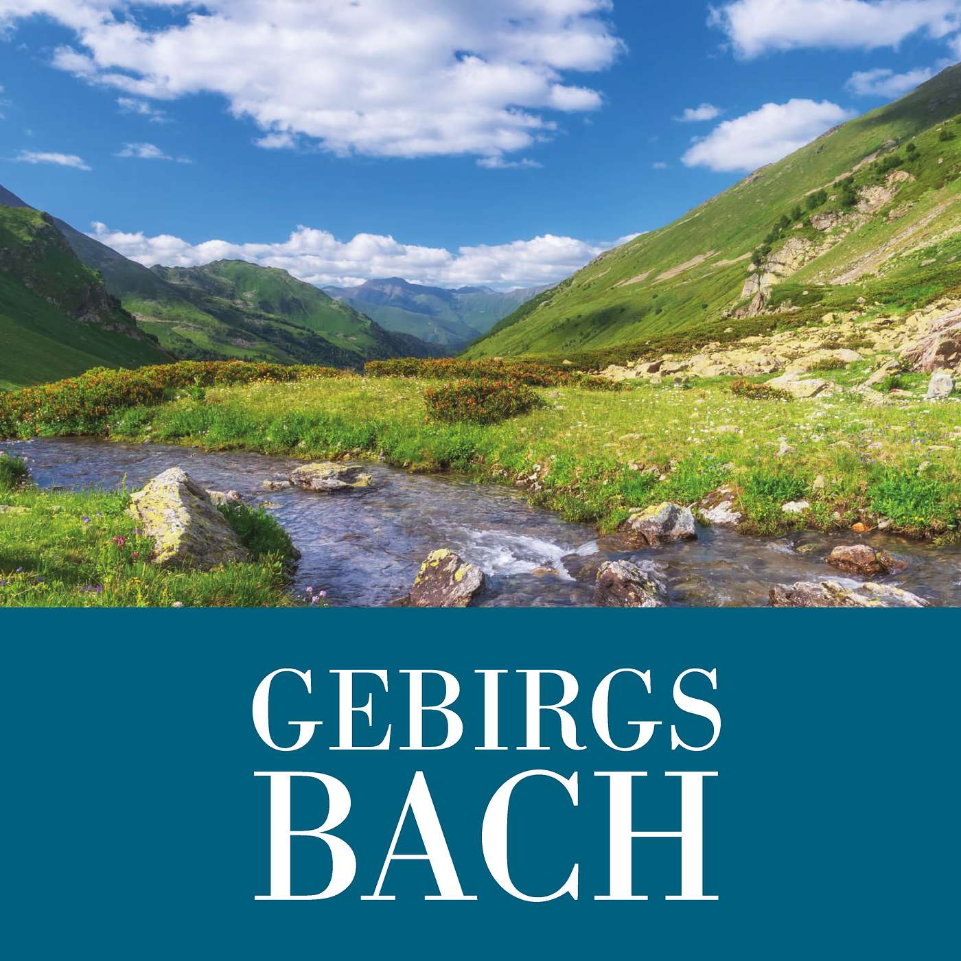 Am Gebirgsbach