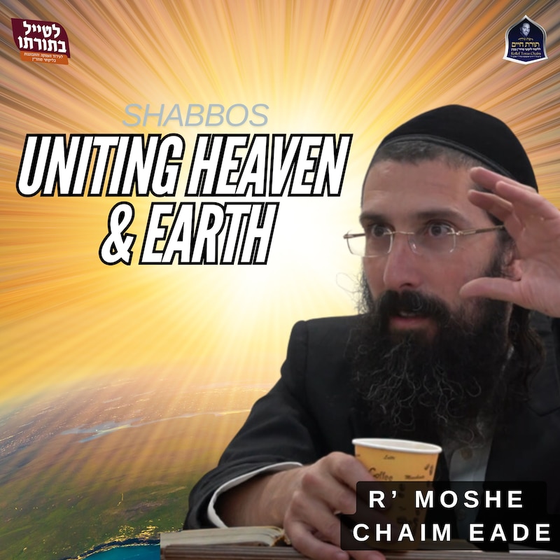 Artwork for podcast Kollel Toras Chaim All Shiurim
