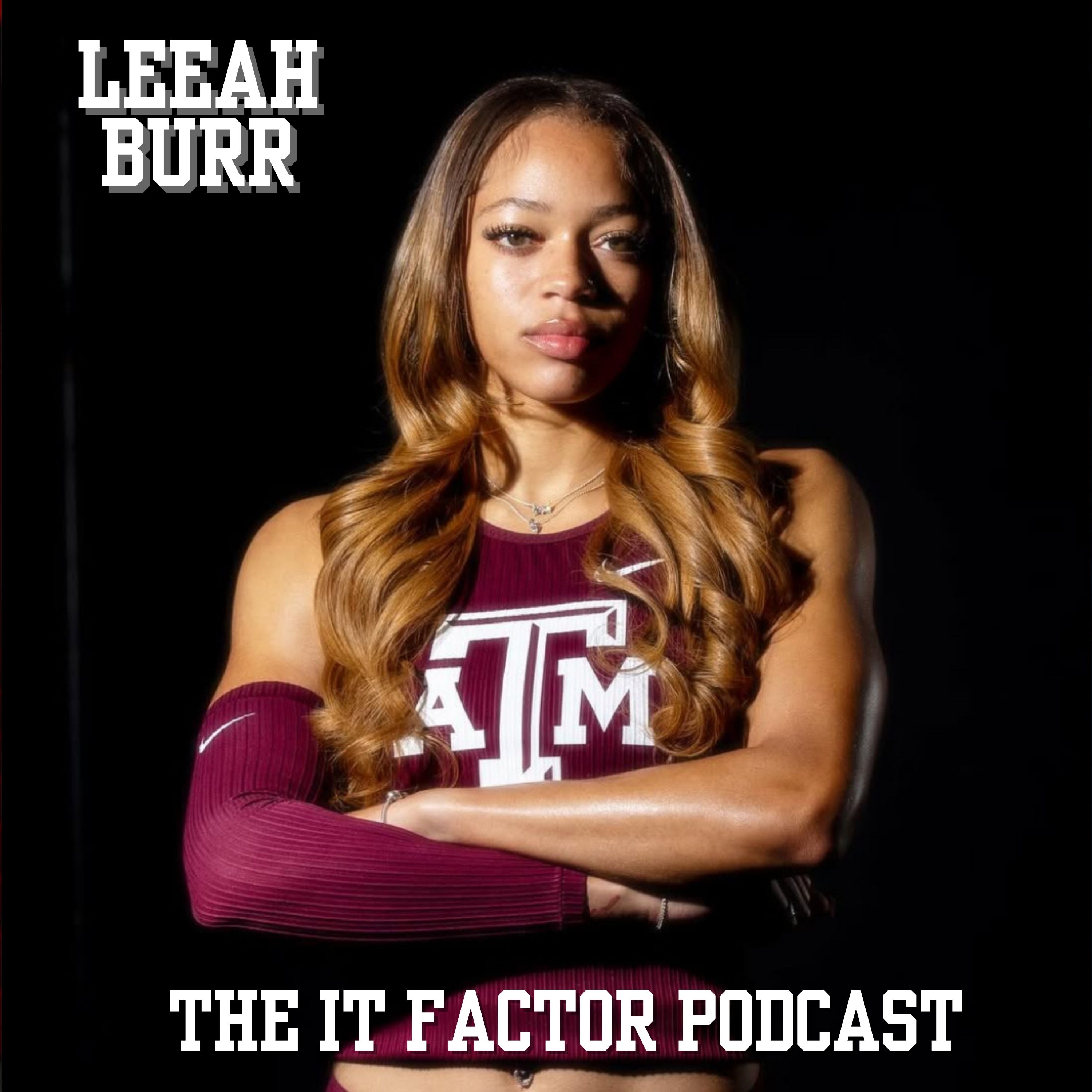 The IT Factor Podcast