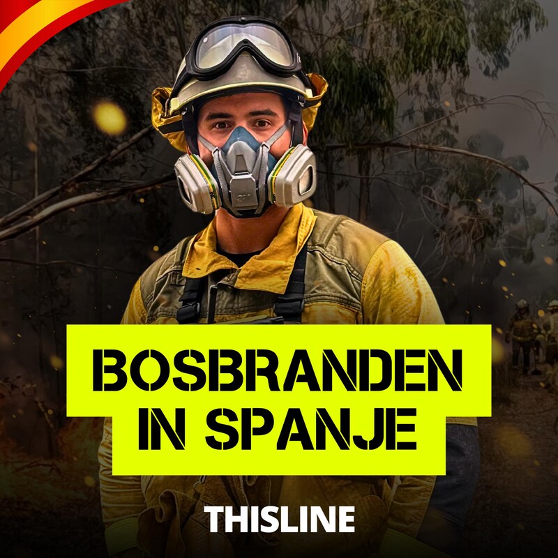 Artwork for podcast THISLINE.NL