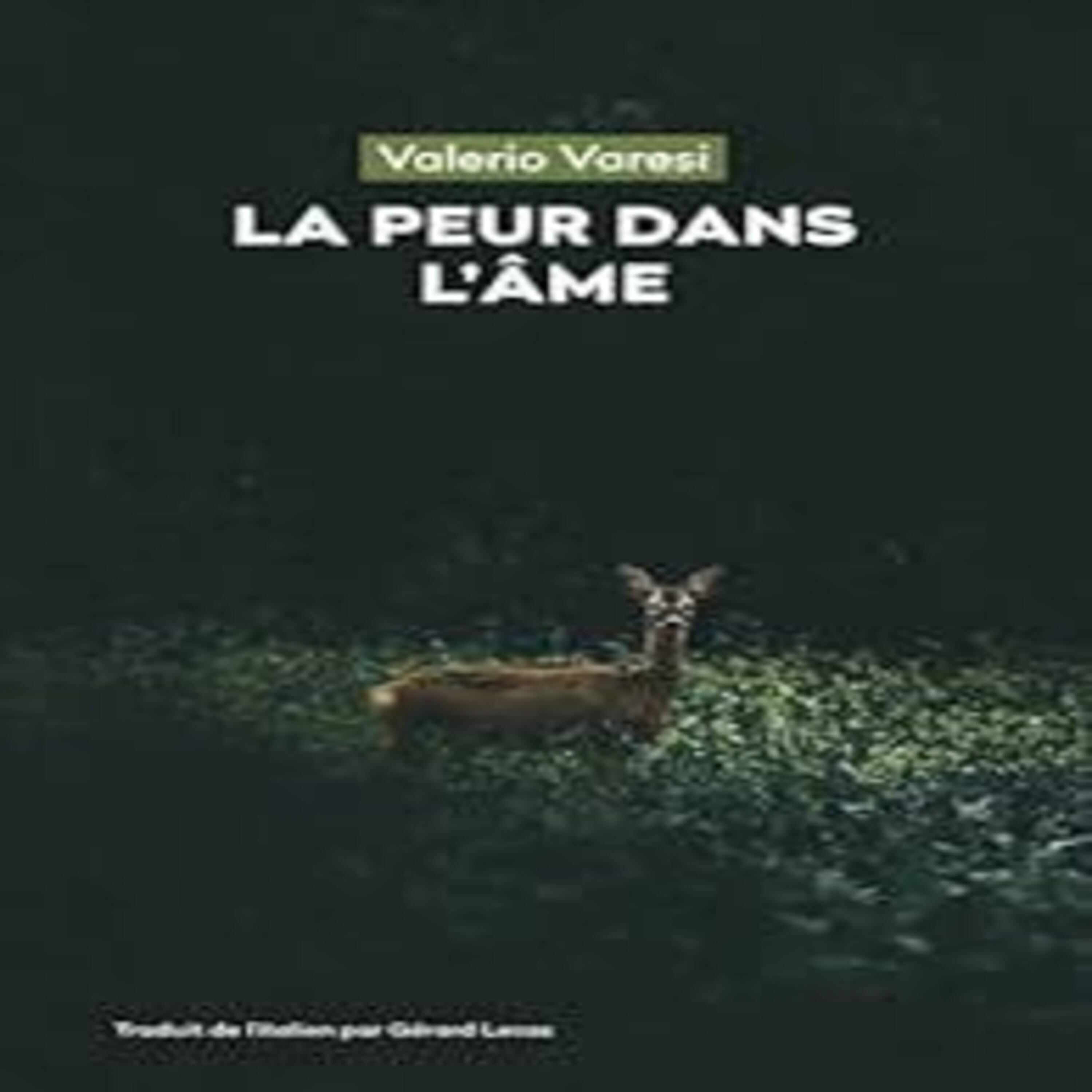 chronique du livre "la peur dans l'âme" RCV99 episode artwork