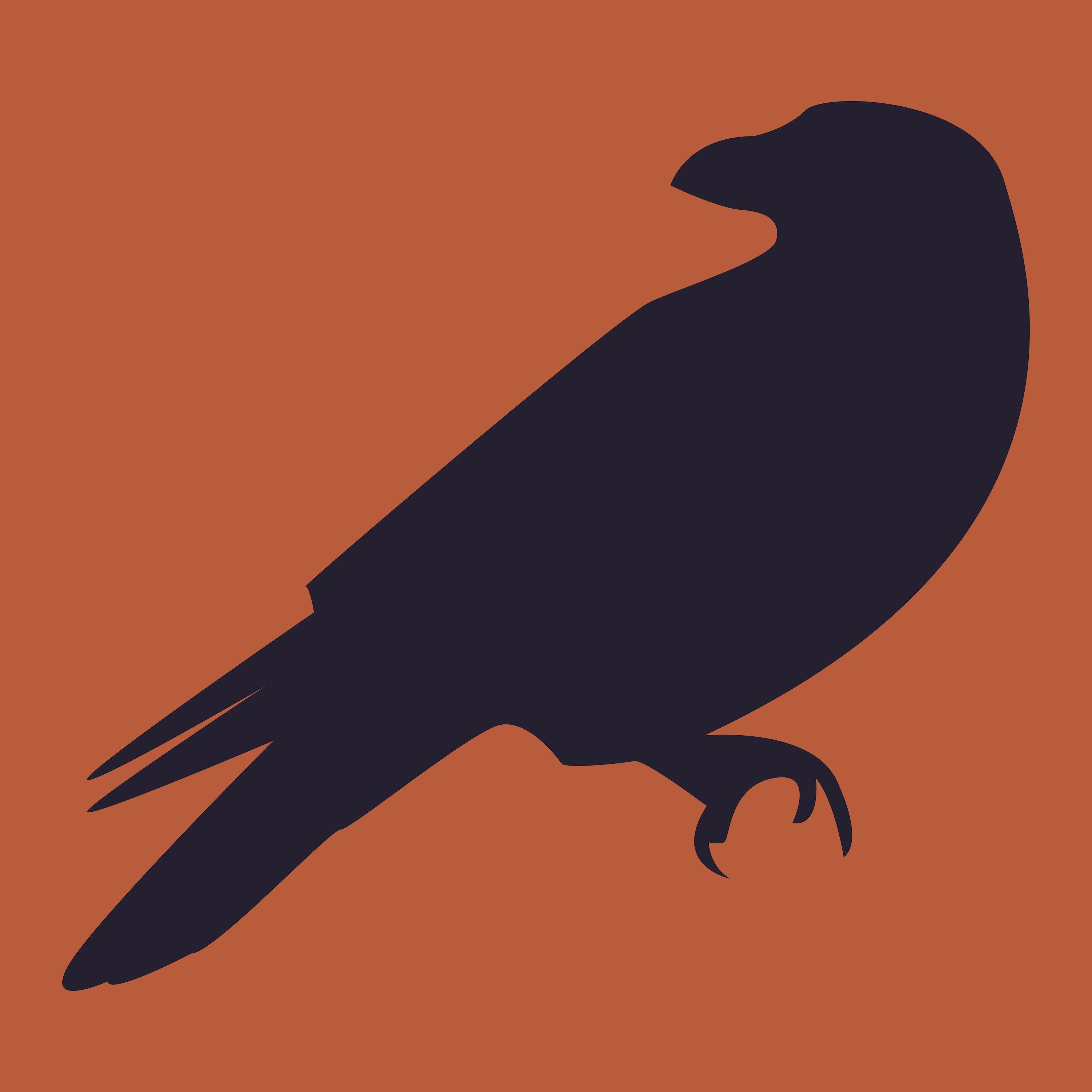 The Birds
