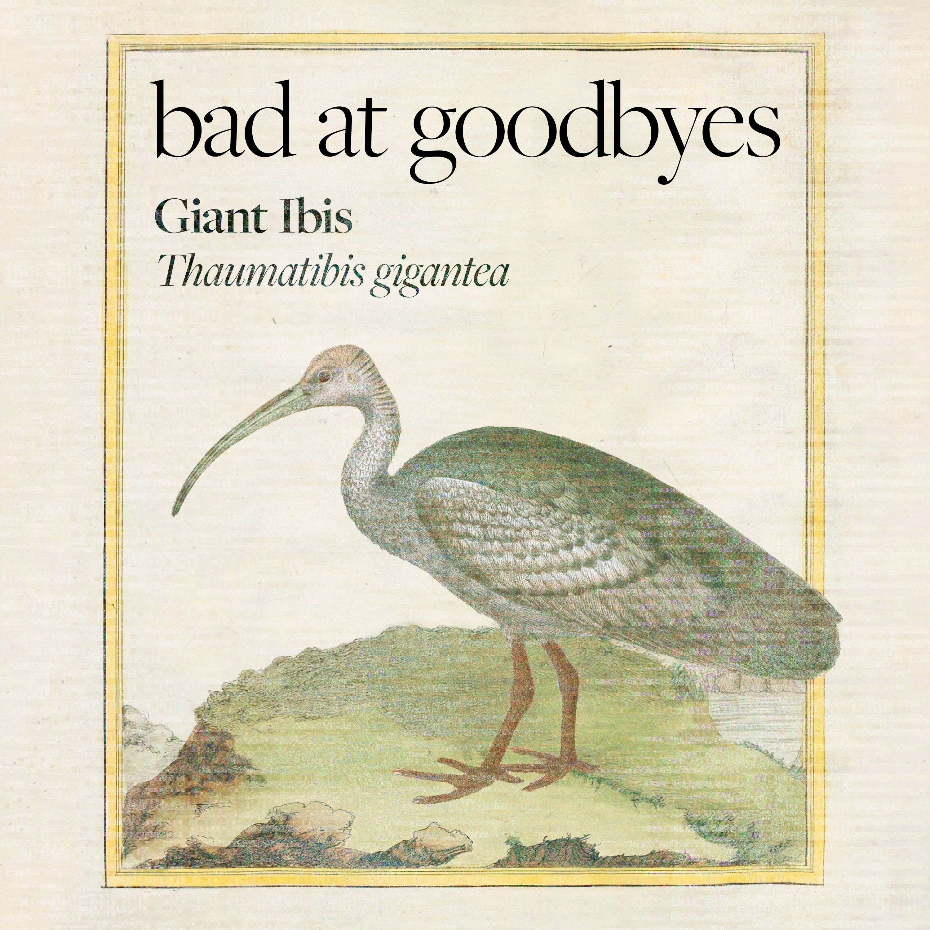Bad at Goodbyes
