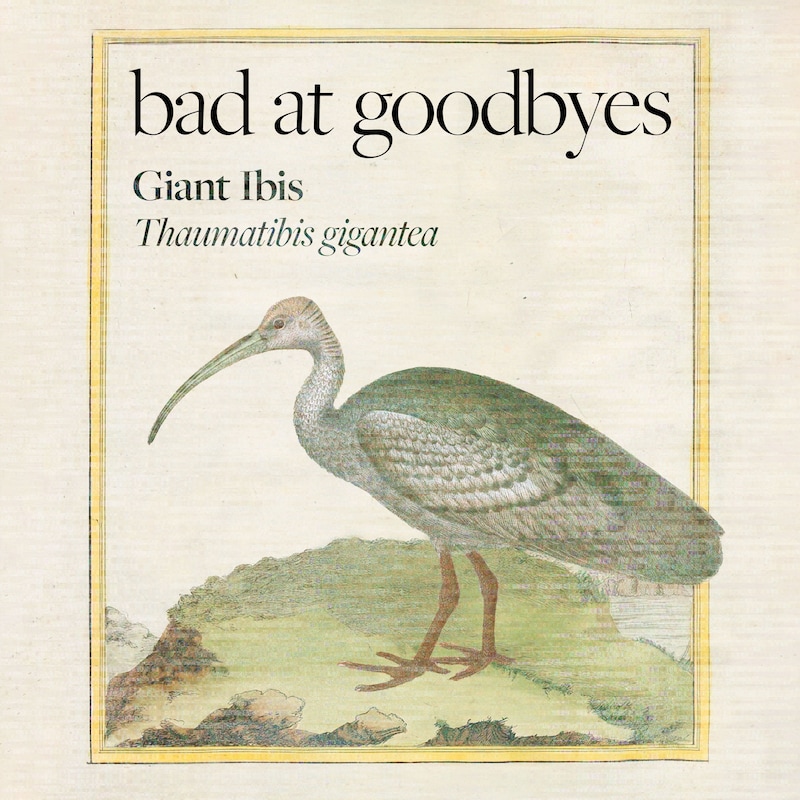 Artwork for podcast Bad at Goodbyes