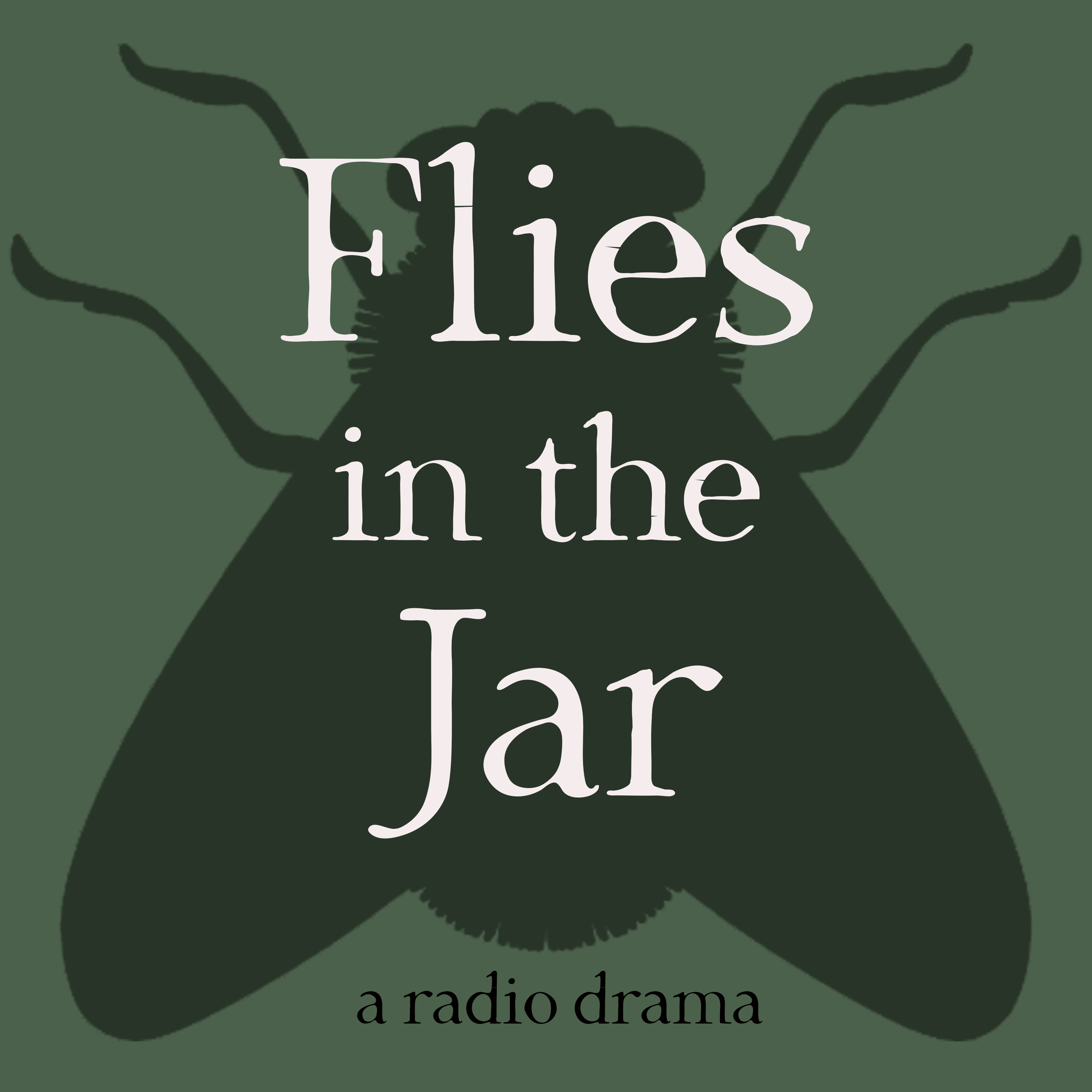Flies In The Jar's artwork