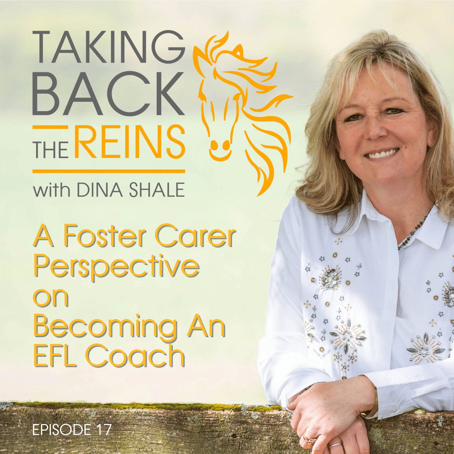 017 - A Foster Carer Perspective on Becoming An EFL Coach episode artwork