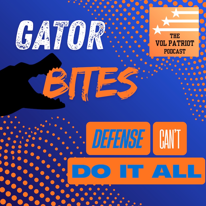 Artwork for podcast The Vol Patriot Podcast