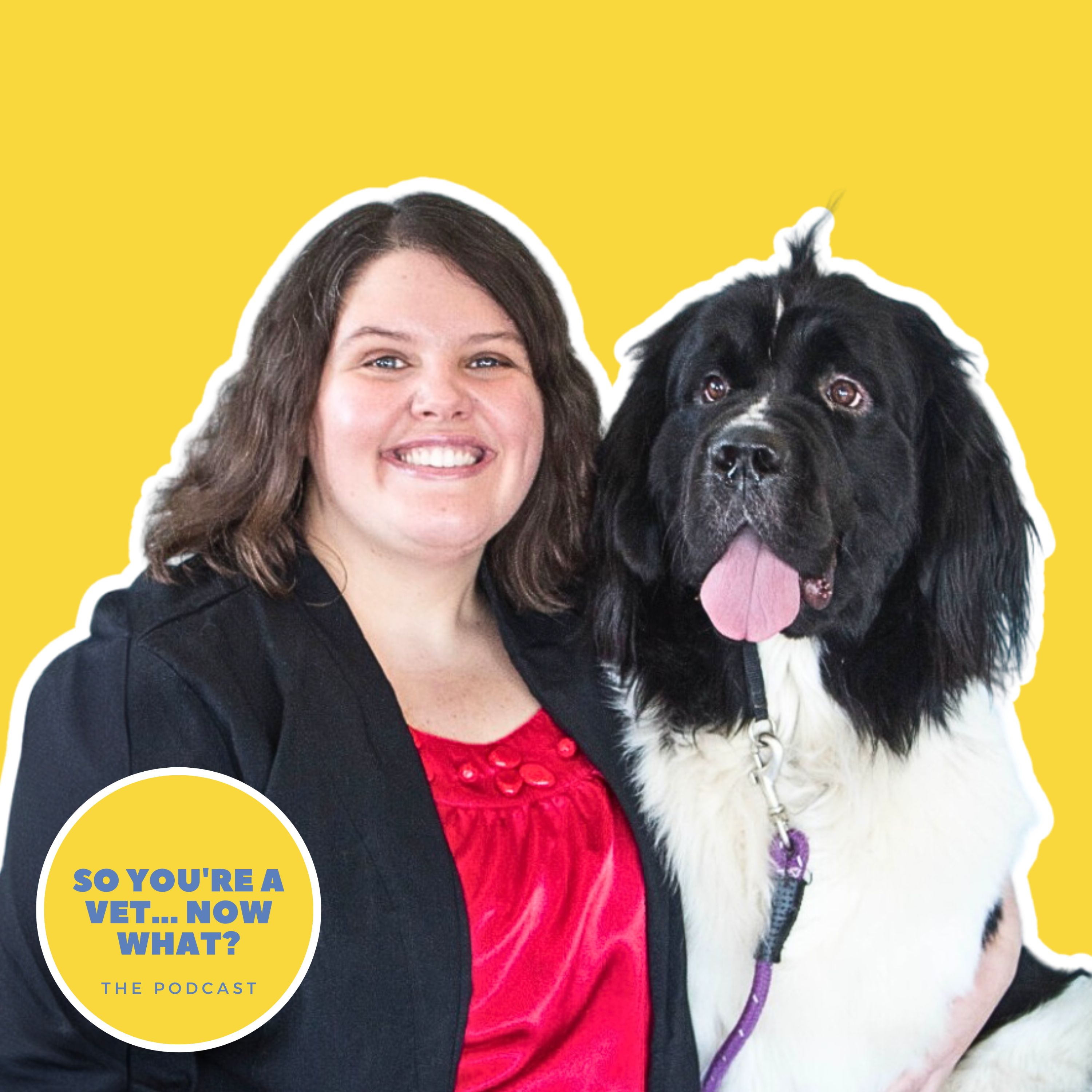 The \'So You\'re A Vet... Now What?\' Podcast