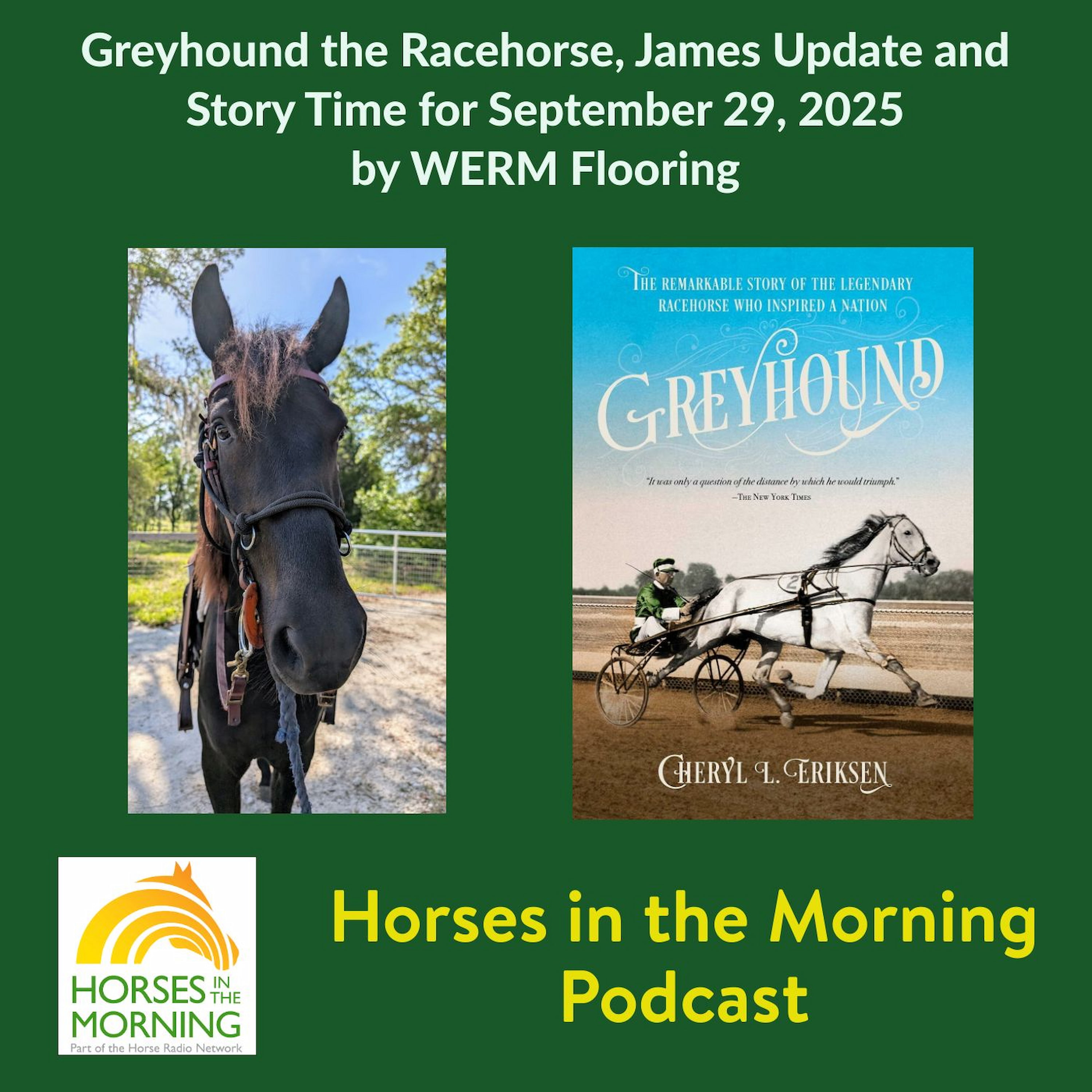 Greyhound the Racehorse, James Update and Story Time for September 29, 2025 by WERM Flooring - HORSES IN THE MORNING