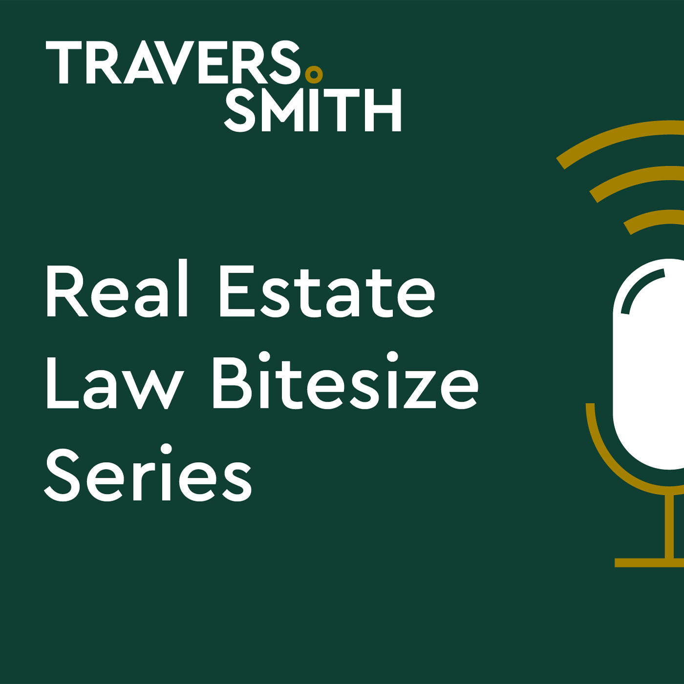 Artwork for podcast Real Estate Law Bitesize Series